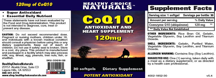 CoQ10 120 Supplements